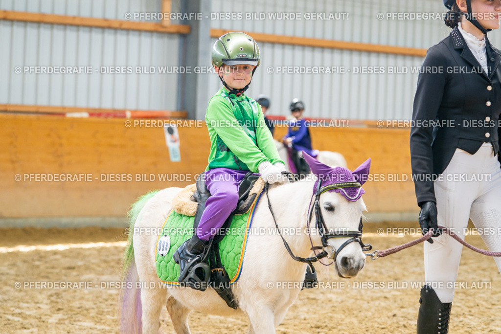 DSC00085 | Pferdegrafie