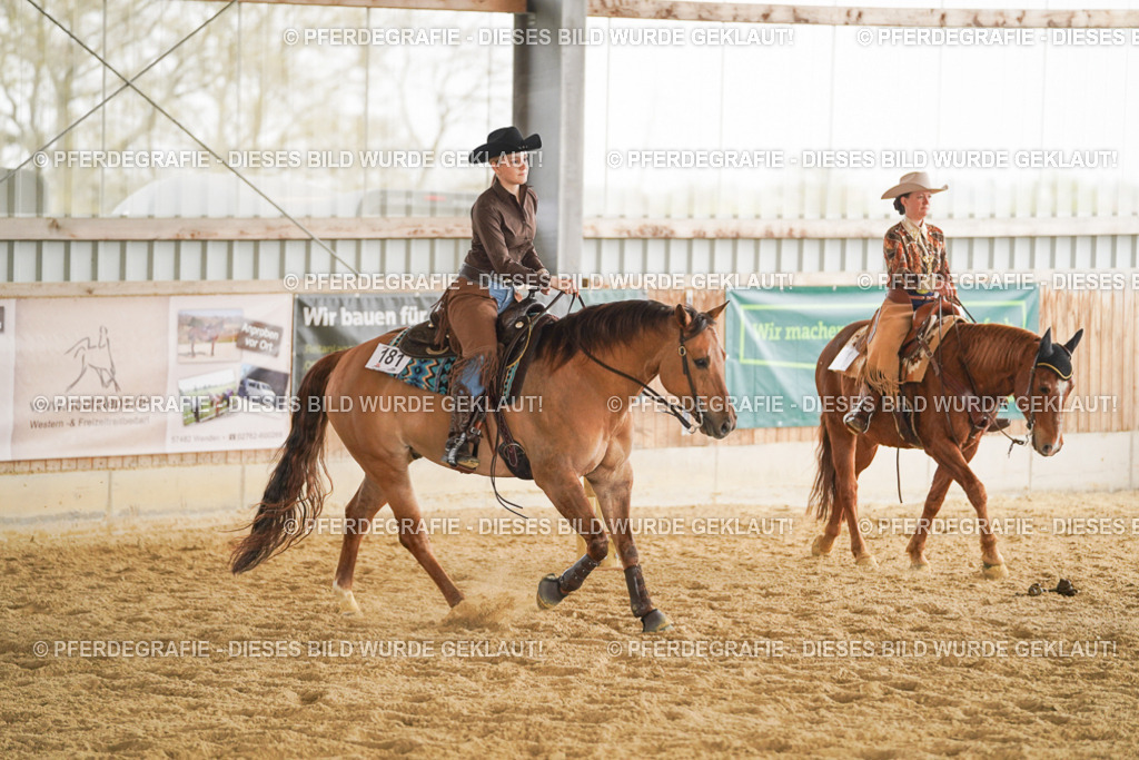 DSC04680 | Pferdegrafie