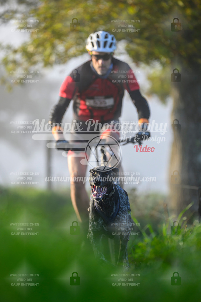 MompixPhotography_20TSB_E3_Bike-70 | PayLife