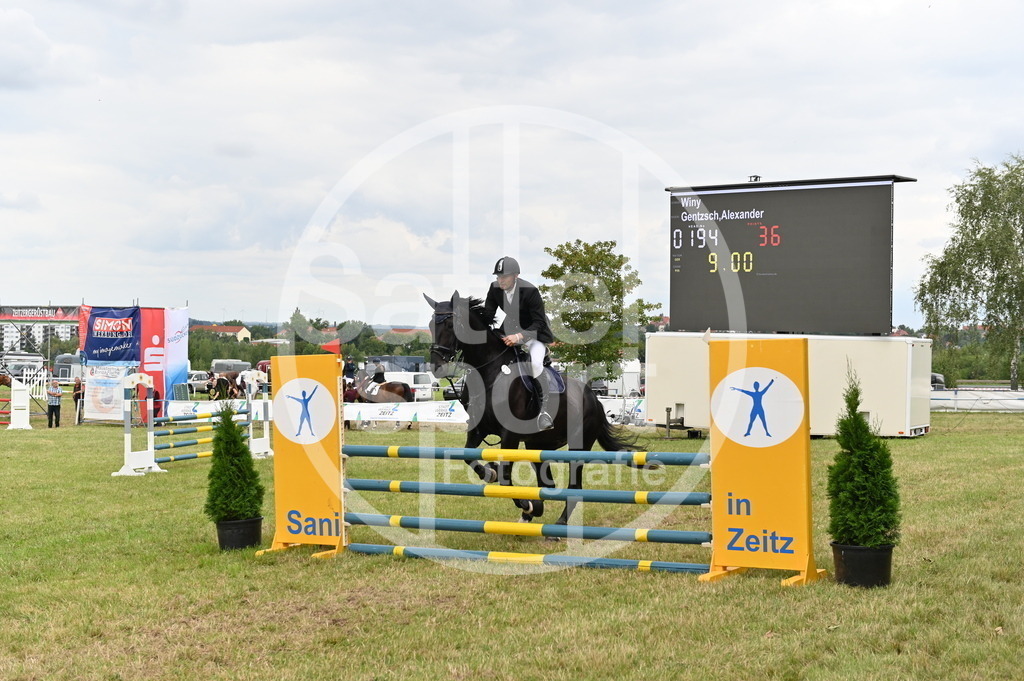 DSC_3508 | sattelsport - Realisiert mit Pictrs.com