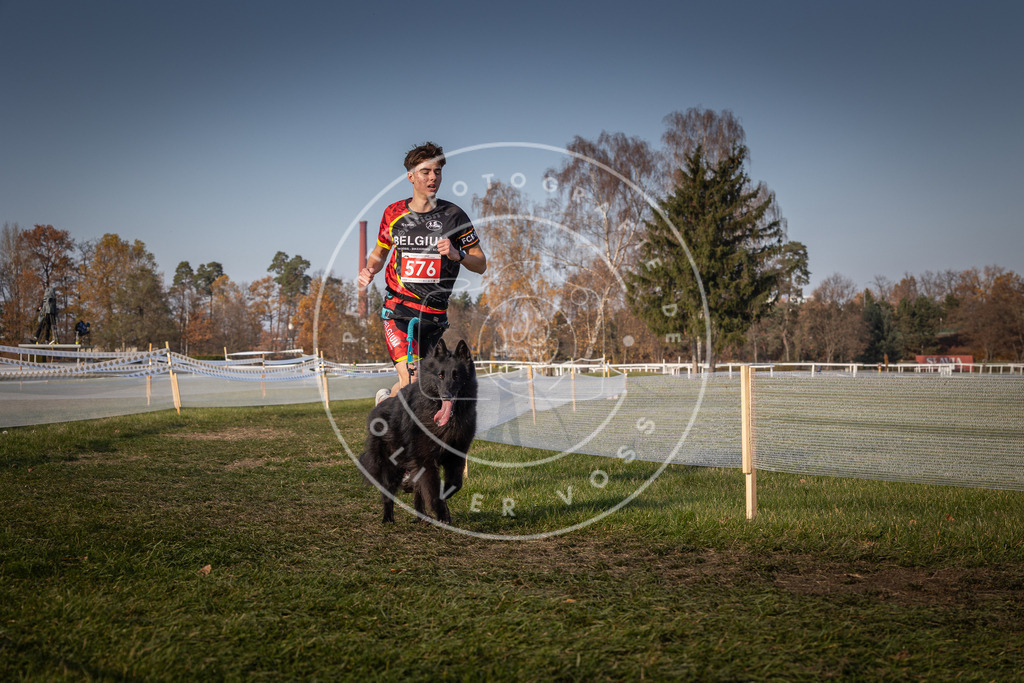 CaniXpix_0L8A9661 | Hundefotografie, Tierfotograf, Pfotenfotografie, Fotoshooting Hund, Hunde Portrait, Hundesport, Hundeportraits, Heideshooting, Hunde, Sportfotograf, Hundefotograf, Turnierhundsport, THS,  - Realisiert mit Pictrs.com