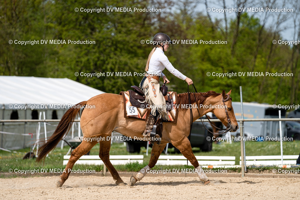 Heiligenwald Tag 3-1116 | dv-media-shop - Realisiert mit Pictrs.com