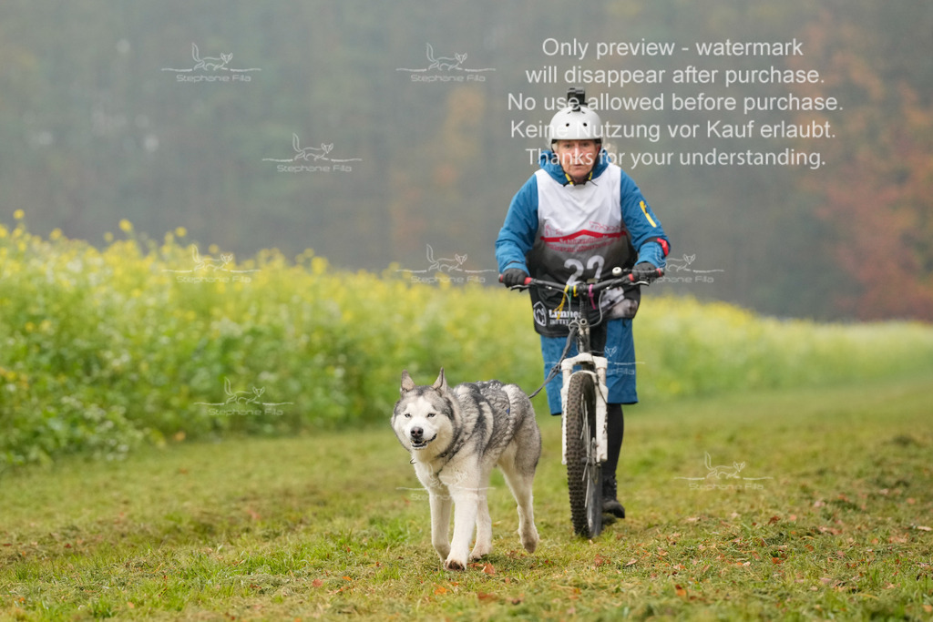 Visbeck_Sa_Scooter_Hc-92 | stephaniefillaphotographie - Realisiert mit Pictrs.com