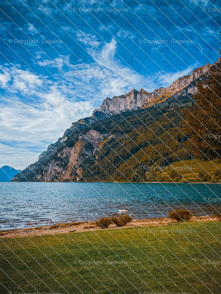 Walensee | Entdecken Sie originelle Wandkunst auf Leinwand und Acrylglas sowie eine Vielzahl von Fotogeschenken und stockvideos in unserem Online-Shop. Dekorieren Sie Ihr Zuhause mit einzigartigen Kunstwerken und persönlichen Erinnerungen. Perfekt auch als Geschenk.