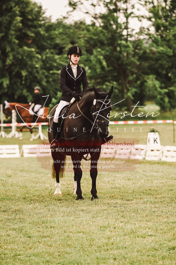 DSC_5029 | Pferde- und Turnierfotografie in Westsachsen. Pferdeportraits, Auftragszeichnungen und intuitive Kunst.