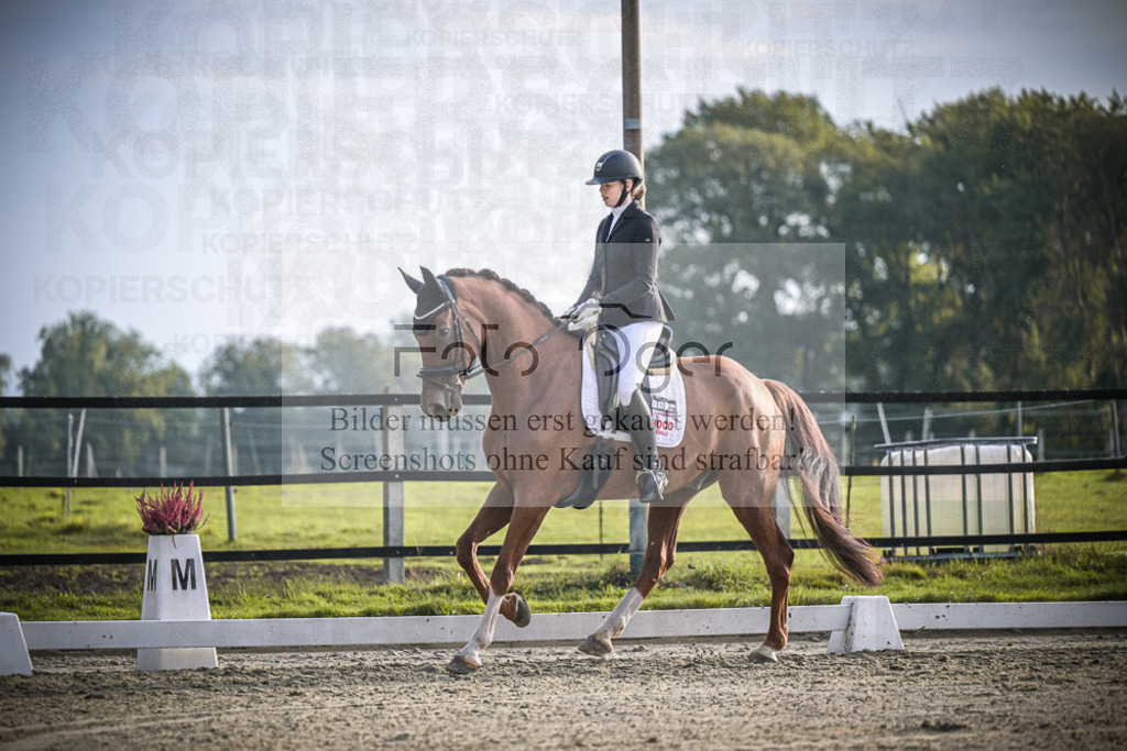 DOS_3379 | Entdecke hochwertige Reitturnierfotos von Foto Oger. Professionell, emotional und authentisch – jetzt Lieblingsmomente im Shop bestellen.Deutschlandweite Turnierfotografie. - Realisiert mit Pictrs.com