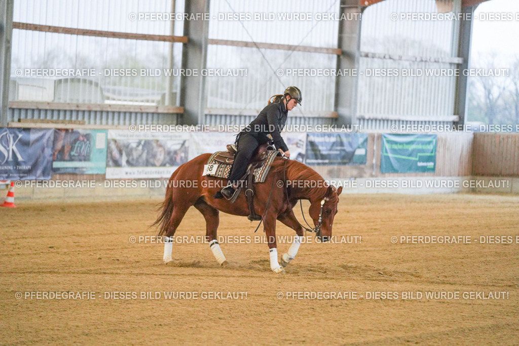 DSC09245 | Pferdegrafie