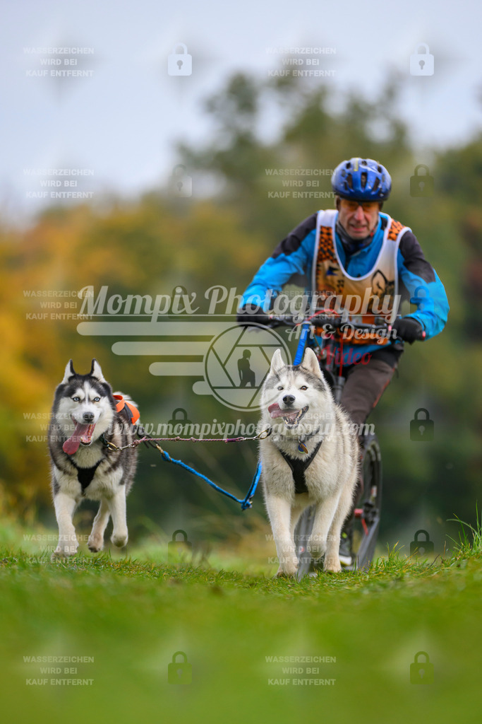 MompixPhotography_CDLBDB2025_DI_DS-32 | PayLife