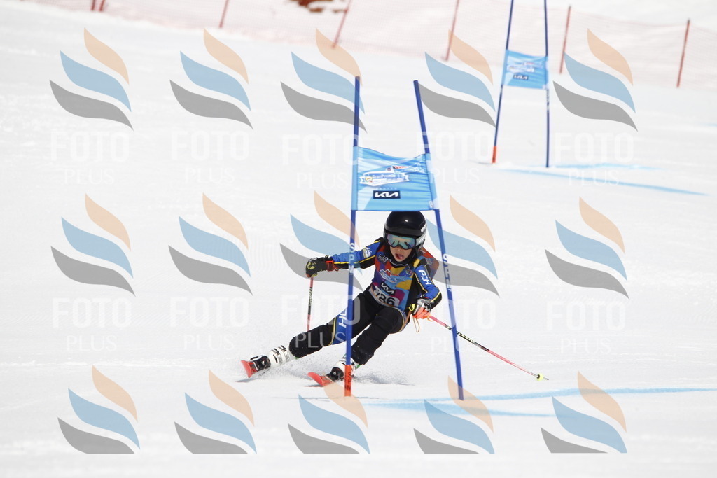 _U3G4877 | holidayphoto