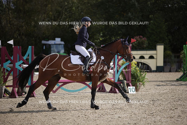 1J2A7362Nadja Freya Müller_ Umero 9_ Kn944_ Havekost | Foto- und Videografie für alles rund ums Pferd. Hochwertige Bilder und Videos vom Spring- und Dressurreiten, Voltigieren & mehr. Jetzt aktuelle Veranstaltungen und Preise im Shop ansehen. - Realisiert mit Pictrs.com