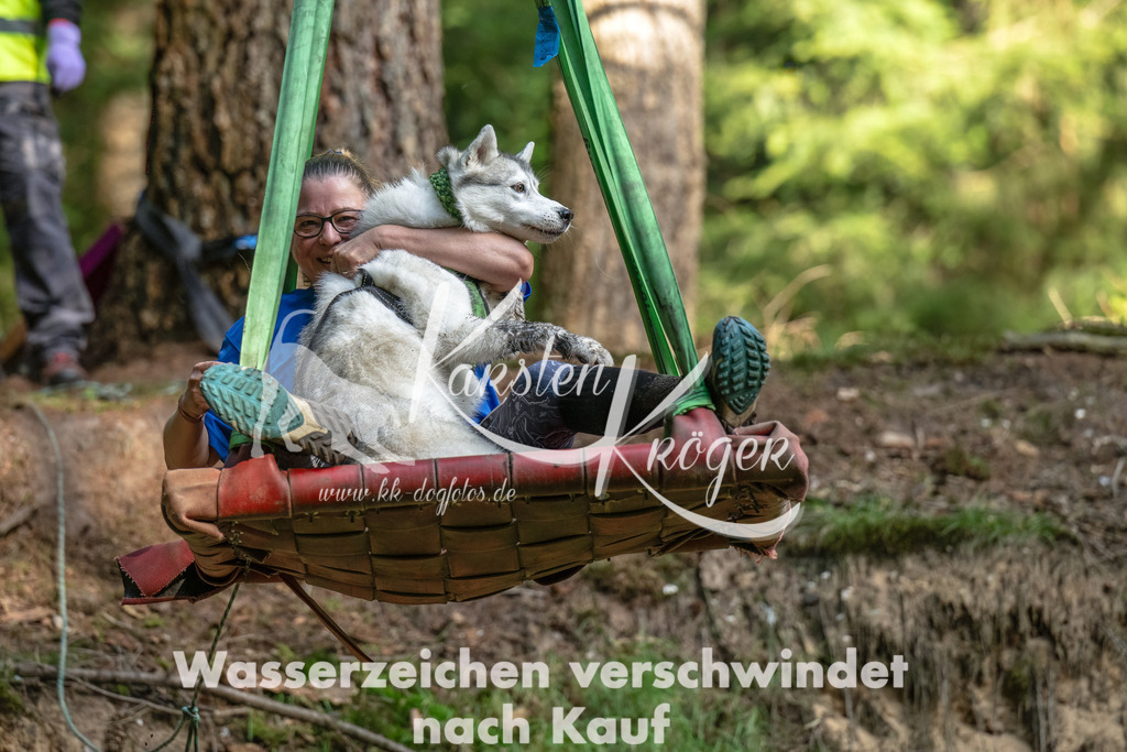 1113_ZZ94408-Bearbeitet | kk-dogfotos