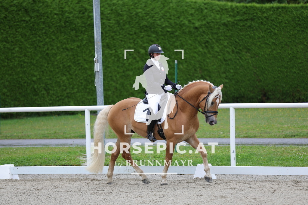 0P6A7779 | Willkommen bei Brunnmayr - Design & Fotografie – Ihrem Spezialisten für Reitturniere und Pferdeveranstaltungen in Oberösterreich, Salzburg und Bayern! Seit über 17 Jahren sind wir leidenschaftlich dabei.