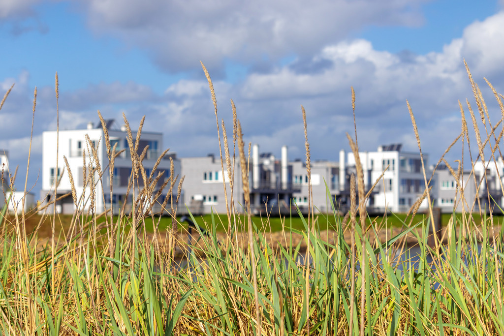 Wandbild: Schilf an der Promenade in Olpenitz | Dieses Wandbild im Querformat zeigt Schilf an der Promenade in Olpenitz. In der Unschärfe sind zahlreiche Ferienwohnungen zu sehen. Am blauen Himmel befinden sich zahlreiche Wolken. - Realisiert mit Pictrs.com