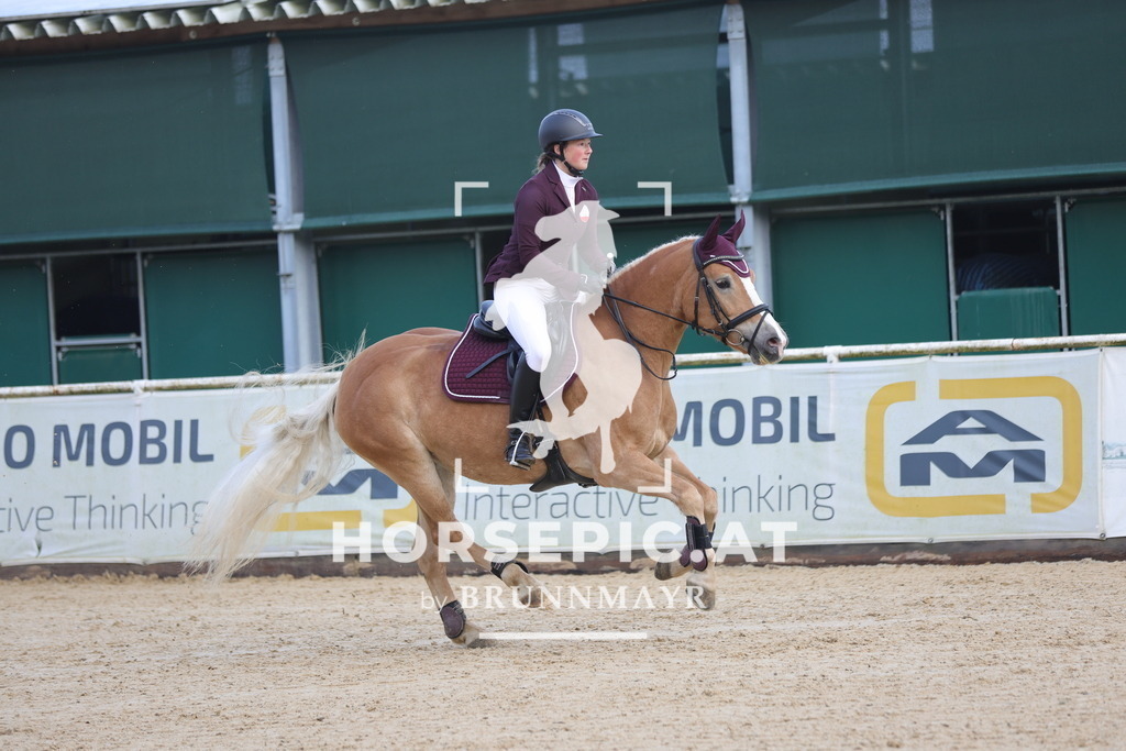 0P6A0948 | Willkommen bei Brunnmayr - Design & Fotografie – Ihrem Spezialisten für Reitturniere und Pferdeveranstaltungen in Oberösterreich, Salzburg und Bayern! Seit über 17 Jahren sind wir leidenschaftlich dabei.