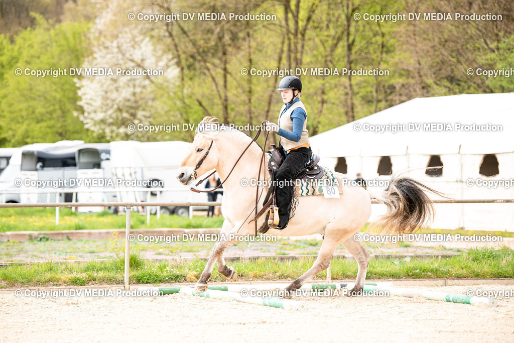 Heiligenwald Tag 1-348 | dv-media-shop - Realisiert mit Pictrs.com