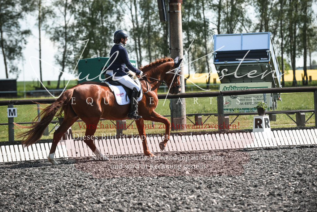 DSC_8864 | Pferde- und Turnierfotografie in Westsachsen. Pferdeportraits, Auftragszeichnungen und intuitive Kunst.