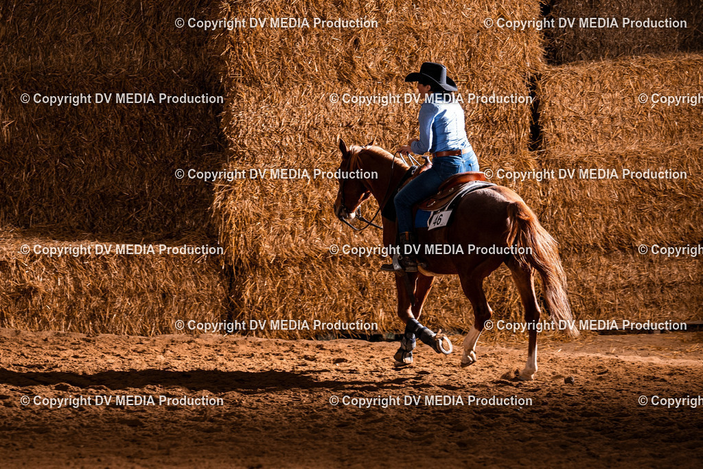 Balingen Tag 1-1345 | dv-media-shop - Realisiert mit Pictrs.com