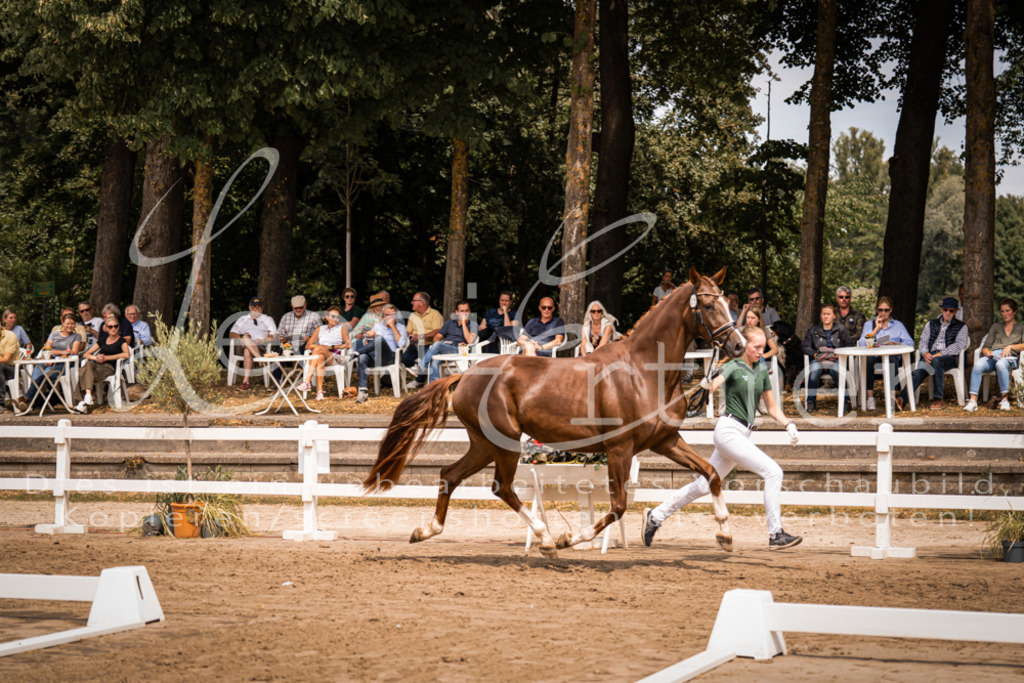 3.Fr00064 | Leoni Ertmer Photography - Realisiert mit Pictrs.com