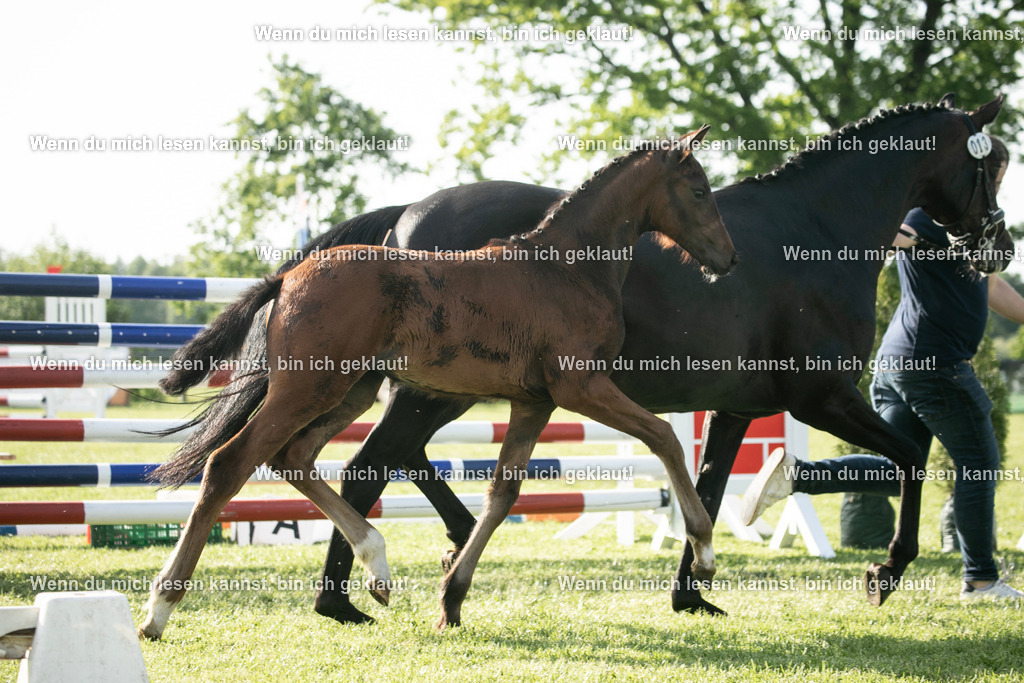 598A7192 | photographylinaismer - Realisiert mit Pictrs.com