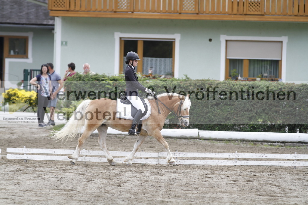 _MG_0917 | equestrian-live-com