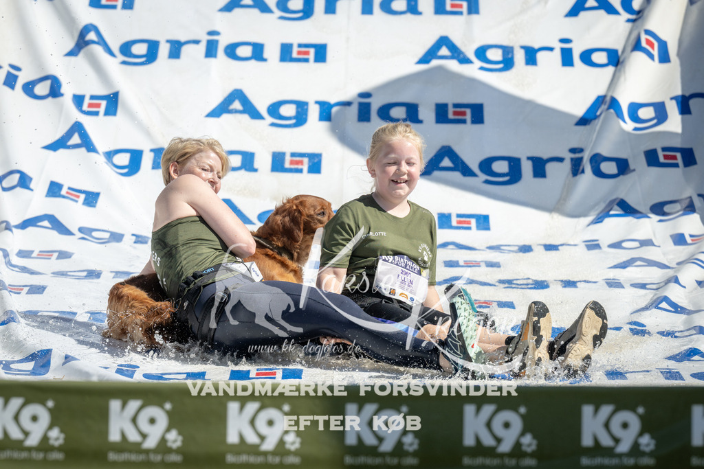 1135_ZZ92648 | kk-dogfotos