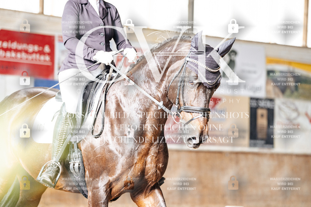 CK902067 | Turnierfotografie Pferdefotografie Trier Rheinland-Pfalz Pferdesport Reitsport Tierfotografie Sportfotografie Pferdevideo Pferdevideografie Equestrianvideography equestrianphotography  - Realisiert mit Pictrs.com