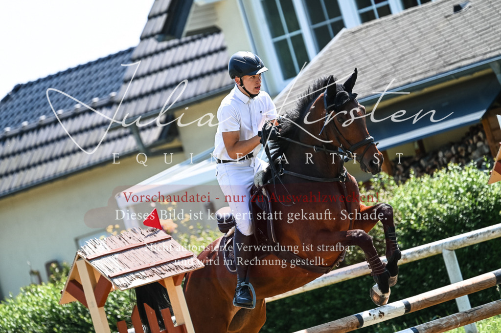 DSC_0383 | Pferde- und Turnierfotografie in Westsachsen. Pferdeportraits, Auftragszeichnungen und intuitive Kunst.