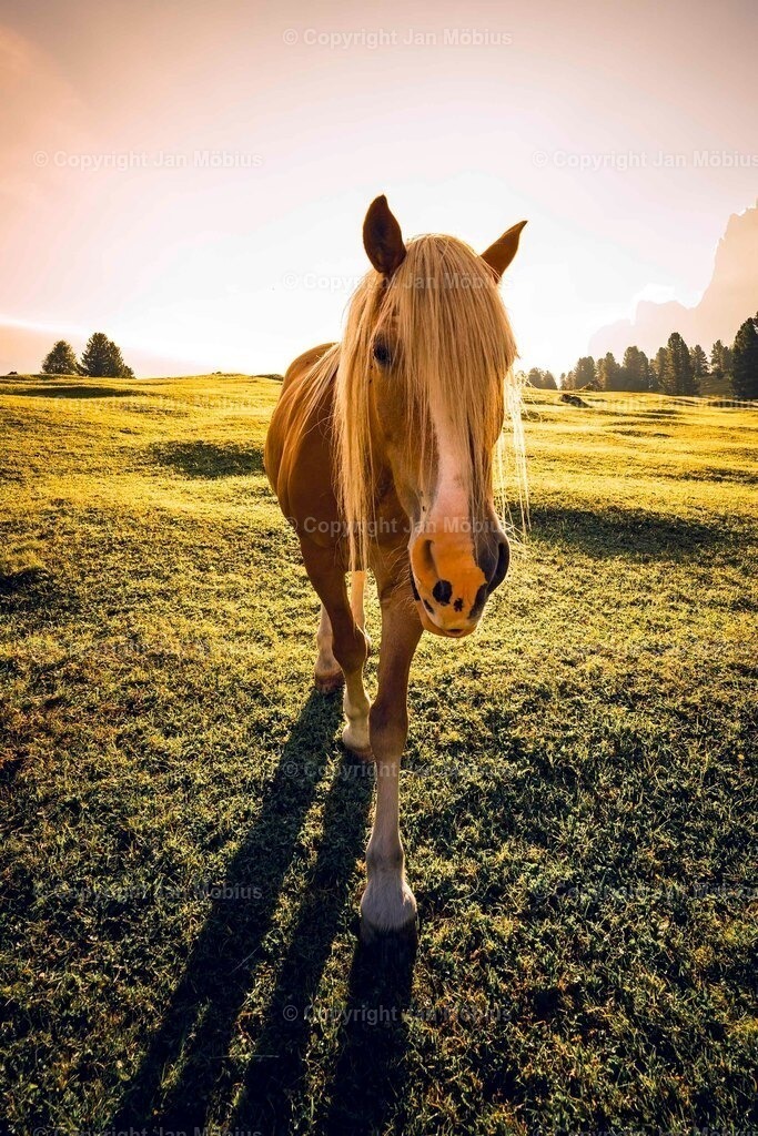 _DSC1583 | Leipzig Wandbilder Drucke Prints Leinwand Stadtmotive Leipzig Fotosdruck Kunstdrucke Bilder Leipzig Stadtansichten Acrylglasbilder Leipzig Wanddeko Fine Art Prints Wandbilder Büro Leipzig Bilder Praxis Zuhause Bilderdruck Poster Posterlounge Kunstdrucke - Realisiert mit Pictrs.com