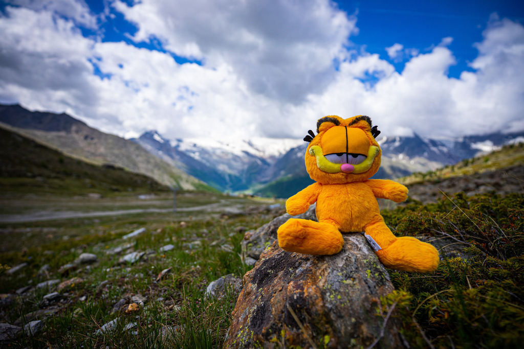 _DSC2016 | <meta name="keywords" content="Bergbilder, Hochzeitsfotografie, Actionshootings, Fotografiearbeiten, Berglandschaften, Naturfotografie">

 - Realisiert mit Pictrs.com