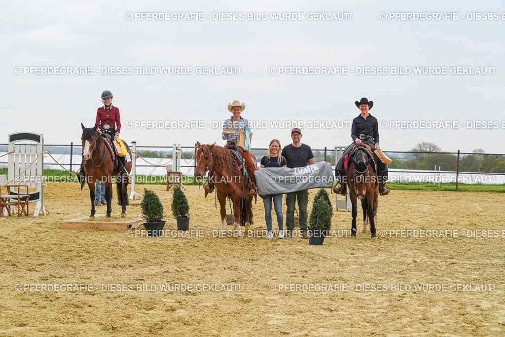 DSC07971 | Pferdegrafie