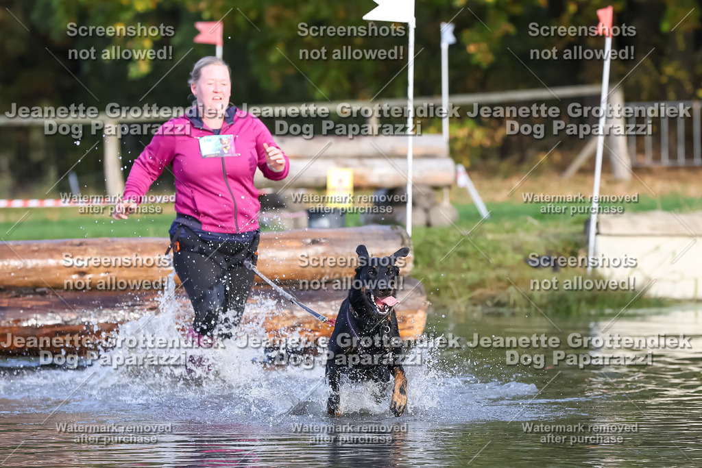 Dog Paparazzi - Strongdog 10-25-7064 | Dog Paparazzi Jeanette Grottendiek Fotografie & Videografie - Realisiert mit Pictrs.com