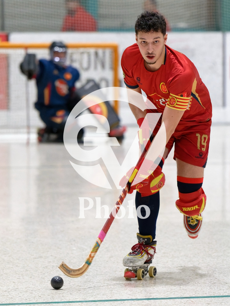 LNA  - Geneve RHC v RHC Diessbach  |  during the LNA  match between Geneve RHC and RHC Diessbach  at Centre sportif de la queue d'arve in Geneve, Switzerland