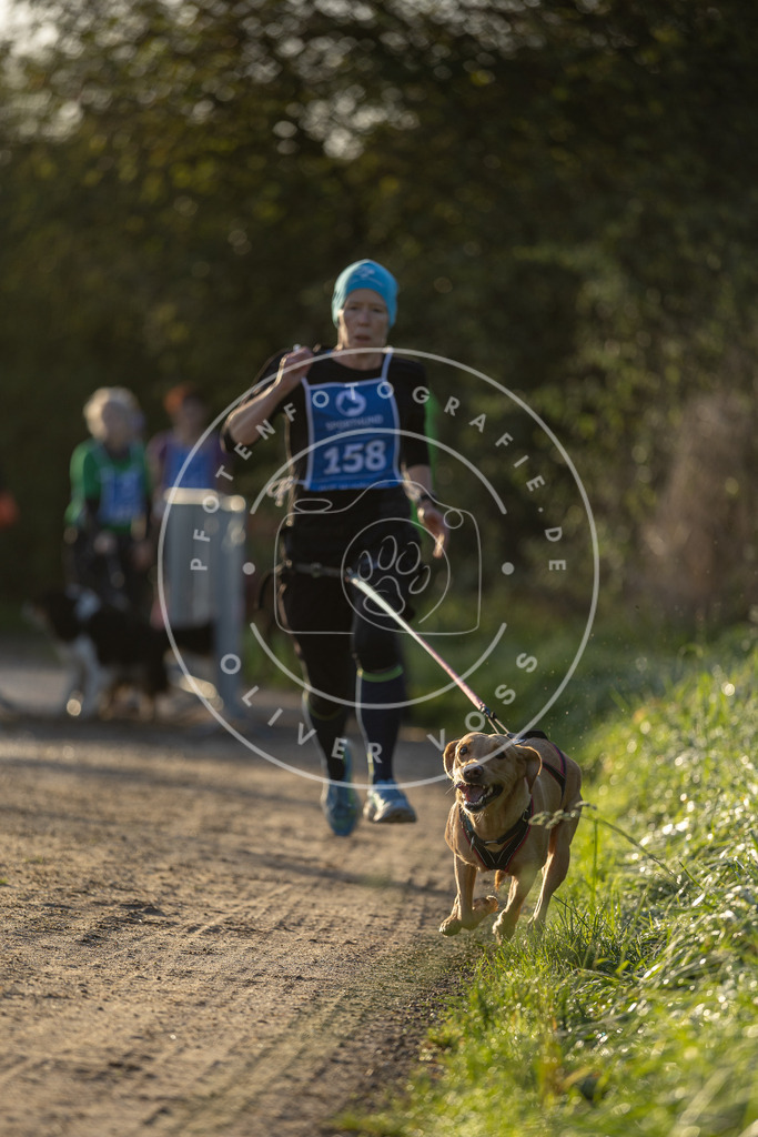 Pfotenfotografie.de_DV3A2558 | Hundefotografie, Tierfotograf, Pfotenfotografie, Fotoshooting Hund, Hunde Portrait, Hundesport, Hundeportraits, Heideshooting, Hunde, Sportfotograf, Hundefotograf, Turnierhundsport, THS, canicross - Realisiert mit Pictrs.com