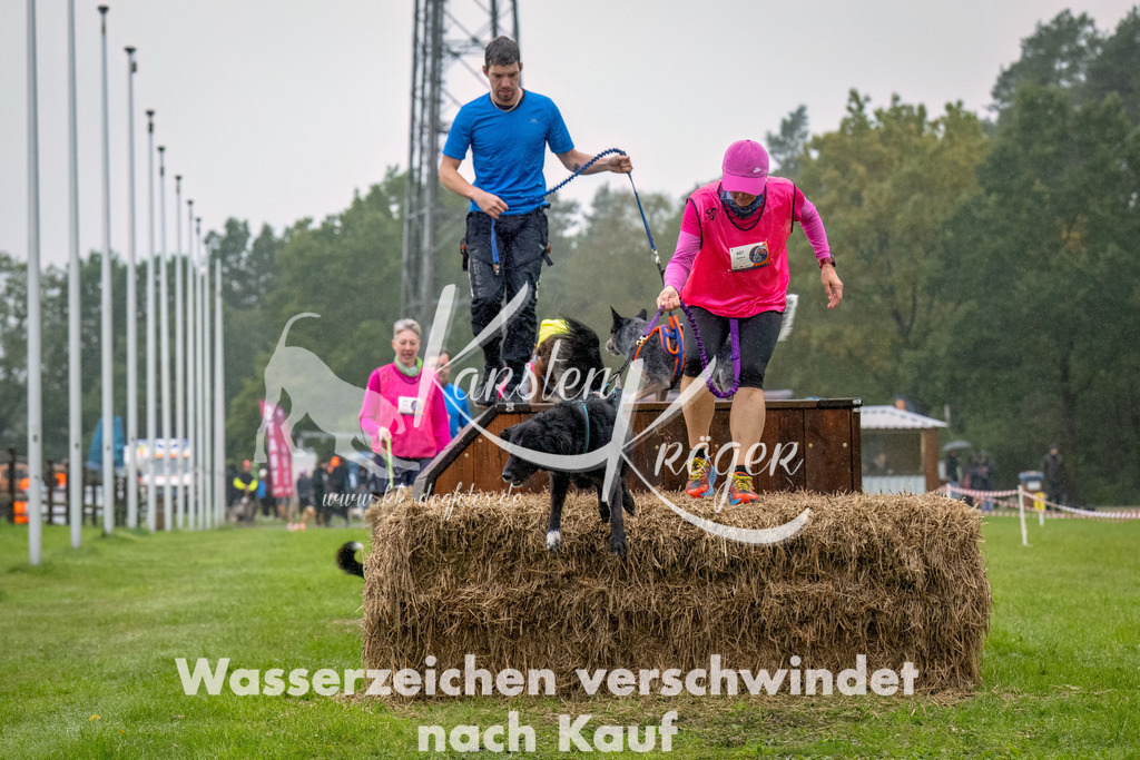 1005--30 | kk-dogfotos
