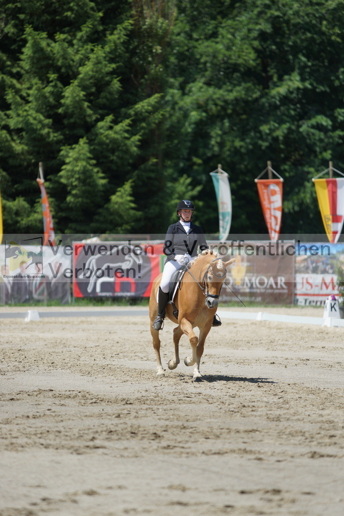 DSC03259 | equestrian-live-com