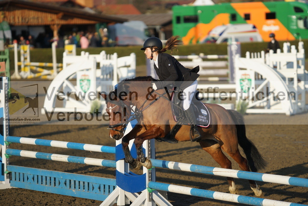 DSC01920 | equestrian-live-com