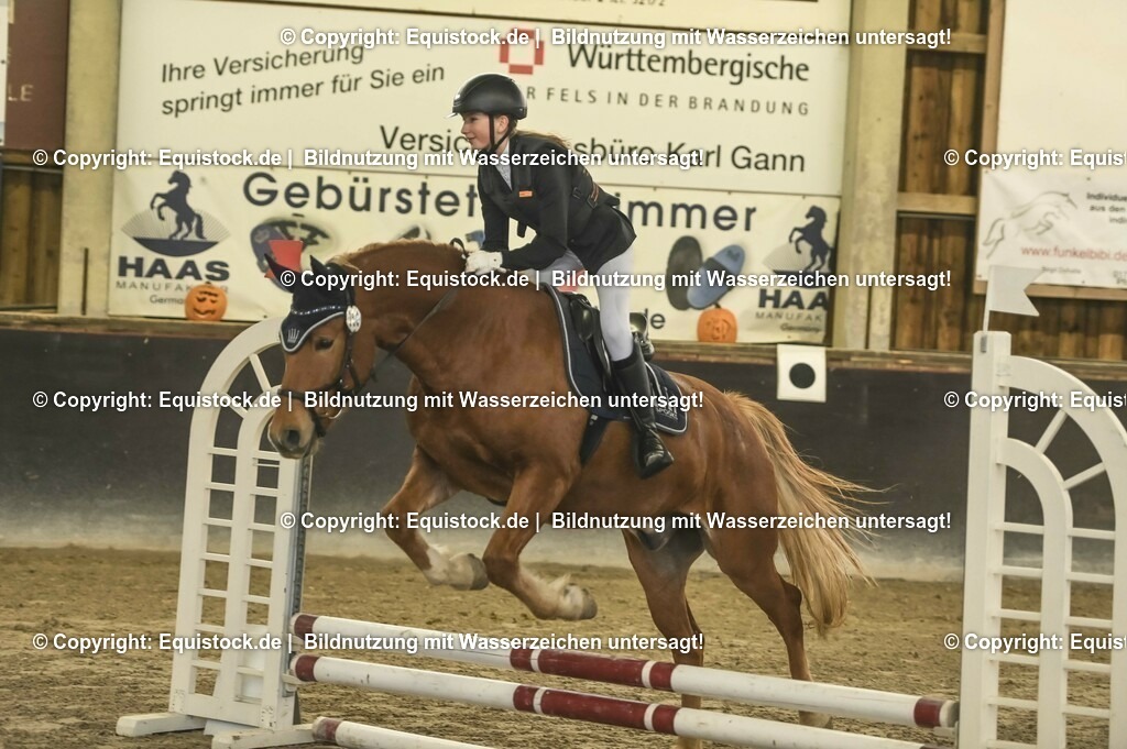 20231029_07_Stilspring-WB-50cm_0061 | Foto: Thomas Hartig