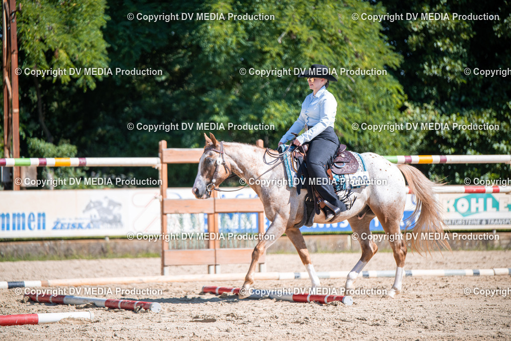 ZS1_0874 | dv-media-shop - Realisiert mit Pictrs.com