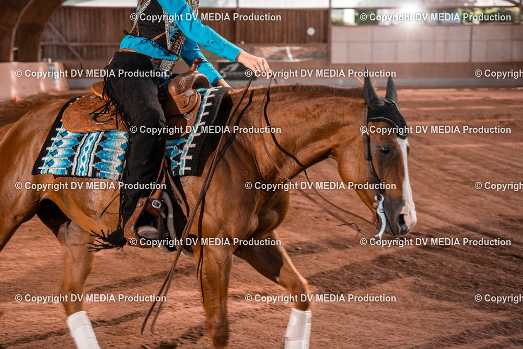 NE201148 | dv-media-shop - Realisiert mit Pictrs.com