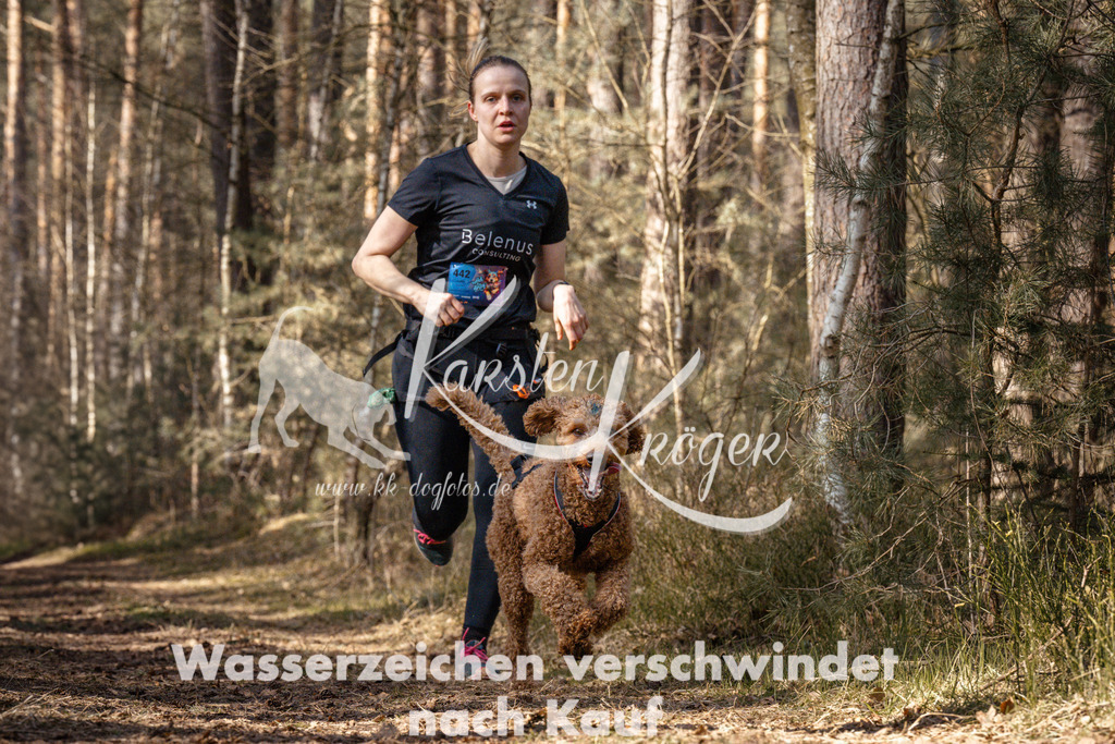 1218_ZZ93178 | kk-dogfotos