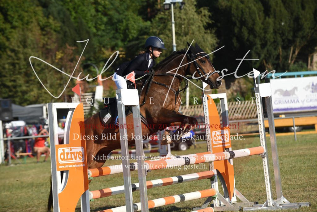 DSC_5103 | Pferde- und Turnierfotografie in Westsachsen. Pferdeportraits, Auftragszeichnungen und intuitive Kunst.