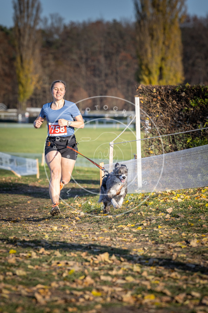 CaniXpix_DV3A2623 | Hundefotografie, Tierfotograf, Pfotenfotografie, Fotoshooting Hund, Hunde Portrait, Hundesport, Hundeportraits, Heideshooting, Hunde, Sportfotograf, Hundefotograf, Turnierhundsport, THS,  - Realisiert mit Pictrs.com