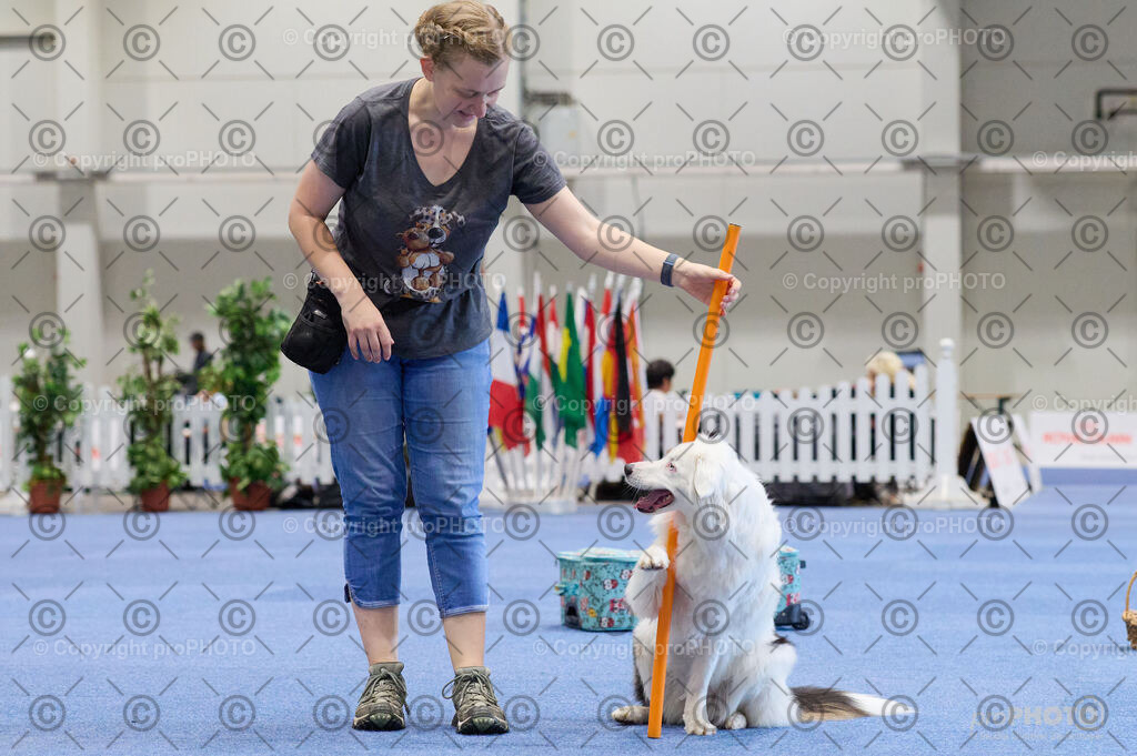 202406_ÖKV-IHA-Tulln24_DSC_4521 | proPHOTO - Realisiert mit Pictrs.com