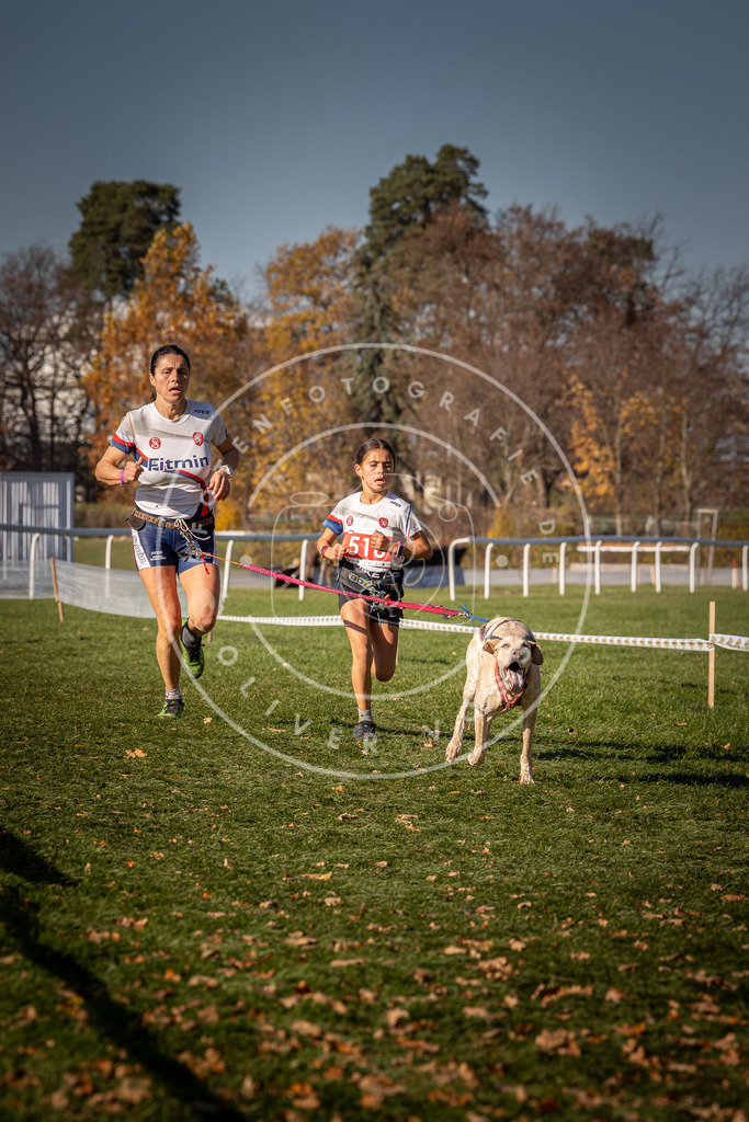 CaniXpix_0L8A6962 | Hundefotografie, Tierfotograf, Pfotenfotografie, Fotoshooting Hund, Hunde Portrait, Hundesport, Hundeportraits, Heideshooting, Hunde, Sportfotograf, Hundefotograf, Turnierhundsport, THS,  - Realisiert mit Pictrs.com