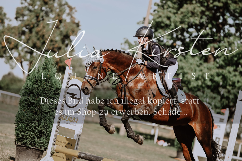 DSC_9419 | Pferde- und Turnierfotografie in Westsachsen. Pferdeportraits, Auftragszeichnungen und intuitive Kunst.