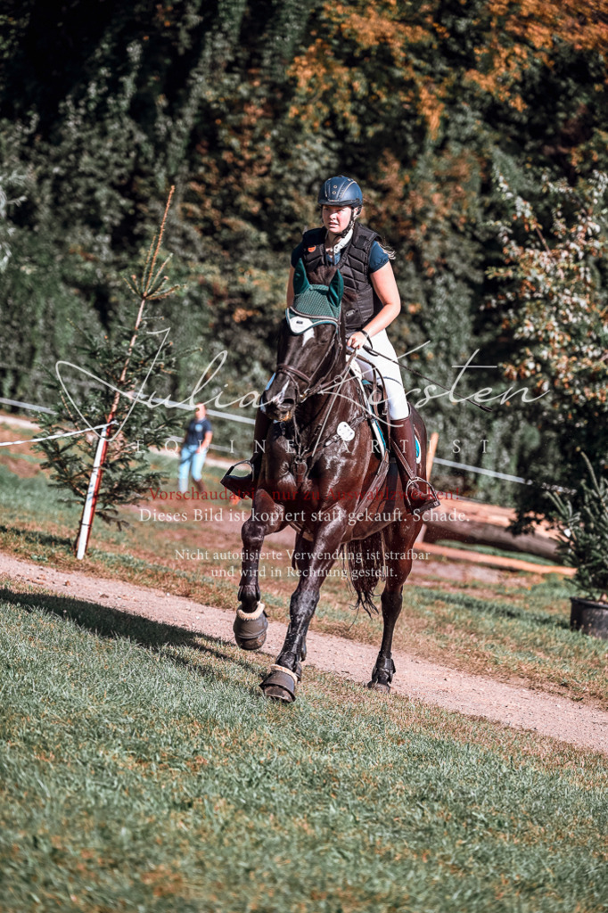 DSC_0914 | Pferde- und Turnierfotografie in Westsachsen. Pferdeportraits, Auftragszeichnungen und intuitive Kunst.