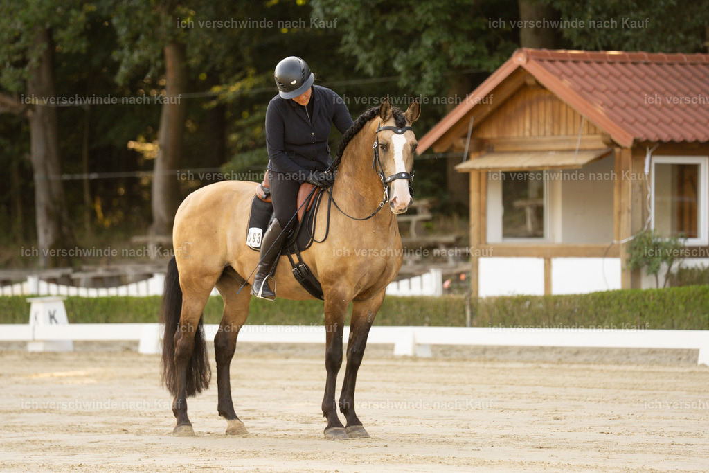 WA_DR_93_SinaFilmArt_IN09965 | working equitationturnier fotograf videograf stoibphotography marixx film working equitation deutschland reitsport turnierfotografie eventfotografie equestrian events