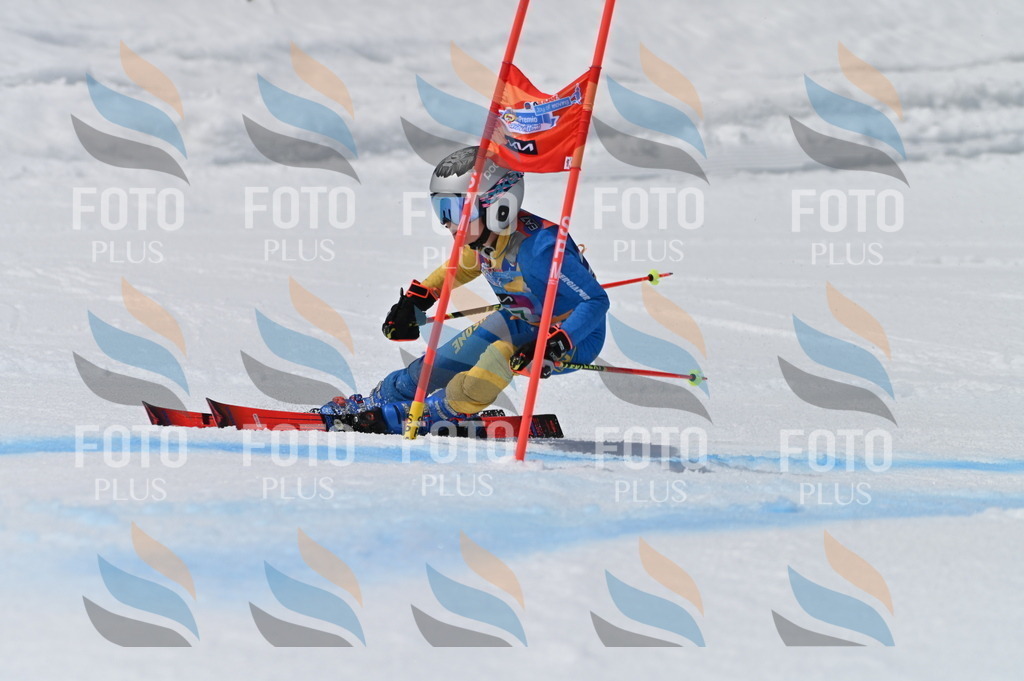 BGV_6683 | holidayphoto