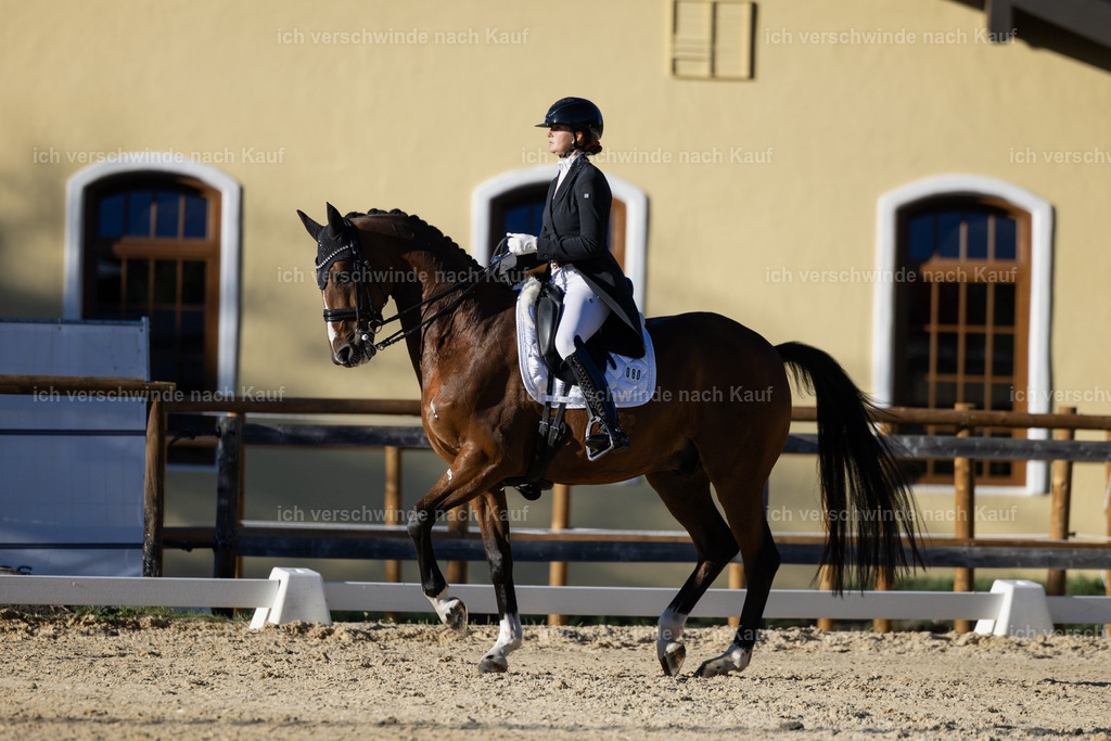 FHC2026_P09_80_18992 | Fichtenhof Classics 2026 – Grand Prix de Dressage - VOLTAIRE Design Preis, Reitanlage Fichtenhof, Sch ftlarn