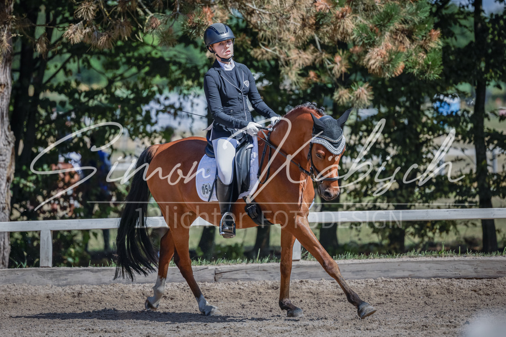 20250906-_3LI5222 | Tierfotografie Pferde, Hunde, Katzen, Haustiere.
Turnierfotografie Reitturniere, Reiten, Springreiten, Dressur in Hanau, dem Main-Kinzig-Kreis und dem Rhein-Main- Gebiet um Frankfurt